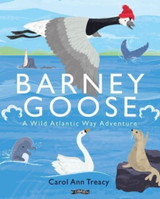 Barney Goose: A Wild Atlantic Way Adventure by Carol Ann Treacy