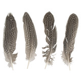 20cm Decorative Feathers (4pk)