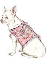 Dog Coats in Simplicity (S9970)