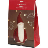 DIY Christmas Kit - Santa Needle Felt