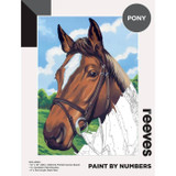 Paint by Numbers (12" x 16") - Pony