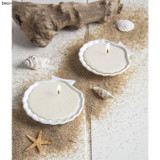 Decorative Shells in Basket