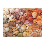 Image for Jigsaw Puzzle (1000pcs) - Vibrant Seashells