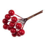 Red Berry Bunch
