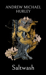 Book cover for Saltwash by Andrew Michael Hurley