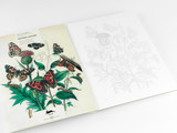 Artists’ Colouring Book: Natural History