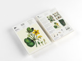 Notepad/Writing Paper: A5 - Natural History