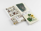 Notepad/Writing Paper: A5 - Natural History