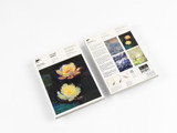 Notepad/Writing Paper: A5 - Claude Monet