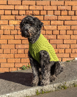 Yarn Vibes 100% Organic Irish Knitting Kit: Madra Dog Jacket