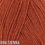 004 Sienna