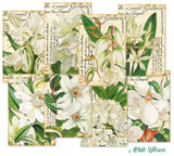 Mini Paper Pack (24pcs) - White Flowers
