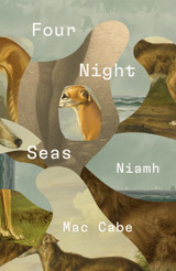 Book cover for Four Night Seas by Niamh Mac Cabe
