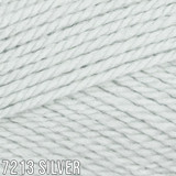 7213 Silver