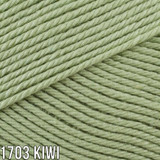 1703 Kiwi