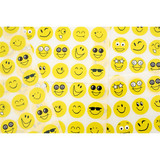 Emotionery Stickers (240pcs) - Smileys
