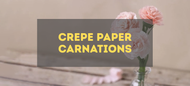 Make Crepe Paper Carnations - Step by Step Guide