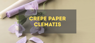 Make Crepe Paper Clematis - Step by Step Guide