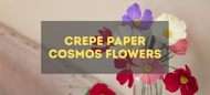 Make Crepe Paper Cosmos Flowers - Step by Step Guide