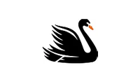Cygnet Yarns