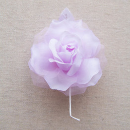 Flower: Rose Sonia - Lilac