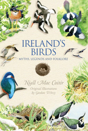 Ireland's Birds: Myths, Legends and Folklore by Niall Mac Coitir