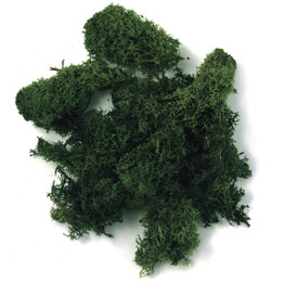 Icelandic Moss (100g)