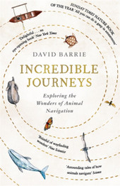 Incredible Journeys: Exploring the Wonders of Animal Navigation by David Barrie