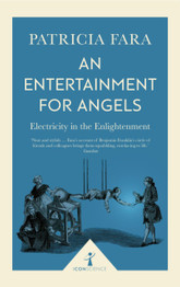 An Entertainment for Angels: Electricity in the Enlightenment by Patricia Fara