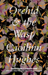 Orchid & the Wasp by Caoilinn Hughes.