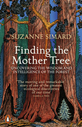 Finding the Mother Tree by Suzanne Simard