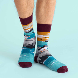 Socks: Skellig