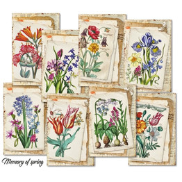 Mini Paper Pack (24pk) - Memory of Spring