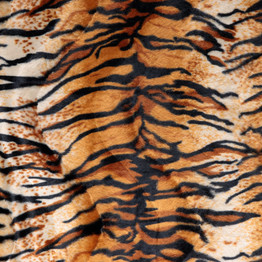 Velboa Tiger Print (145cm) - Per ½ Metre