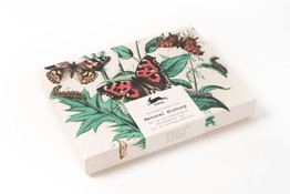Correspondence Set: Natural History