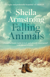 Book cover for Falling Animals by Sheila Armstrong (Second-hand)
