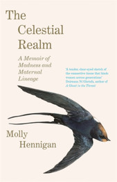 Book cover for The Celestial Realm by Molly Hennigan