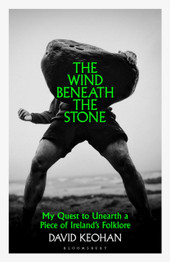 Book cover for The Wind Beneath the Stone: My Quest to Unearth a Piece of Ireland's Folklore by David Keohan