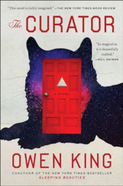Book cover for Curator by Owen King