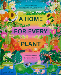 A Home for Every Plant: Wonders of the Botanical World by Matthew Biggs