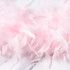 Feather Boa - Per 1.8m