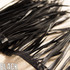 Strung Biot Feathers - Per 4”