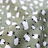 Cotton Poplin Print - White Sheep on Sage Green - Per ½ Metre