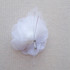 Flower: Open Organza Rose - White