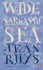 Wide Sargasso Sea by Jean Rhys (Penguin Essentials)
