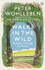 Walks in the Wild: A Guide Through the Forest by Peter Wohlleben