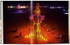 Art of Burning Man  - NK Guy