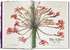Redout. The Book of Flowers. 45th Ed.