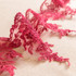 Scalloped Floral Lace Trim - Per ½ Metre