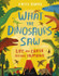 What the Dinosaurs Saw: Life on Earth Before Humans by Fatti Burke